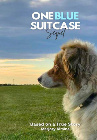 One Blue Suitcase Sequel