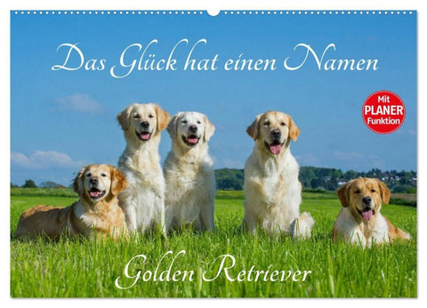Das Glück hat einen Namen - Golden Retriever (Wandkalender 2027 DIN A2 quer), CALVENDO Monatskalender