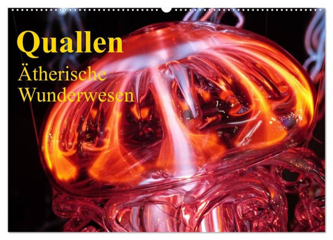 Quallen • Ätherische Wunderwesen (Wandkalender 2027 DIN A2 quer), CALVENDO Monatskalender