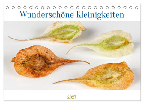 Wunderschöne Kleinigkeiten (Tischkalender 2027 DIN A5 quer), CALVENDO Monatskalender