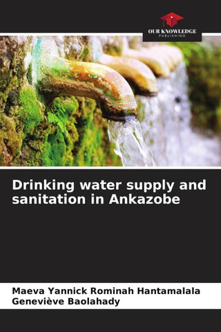 Drinking water supply and sanitation in Ankazobe