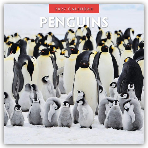 Penguins – Pinguine 2027 – 16-Monatskalender