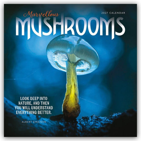 Mushrooms – Pilze 2027 – Wand-Kalender