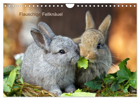 Flauschige Fellknäuel (Wandkalender 2027 DIN A4 quer), CALVENDO Monatskalender