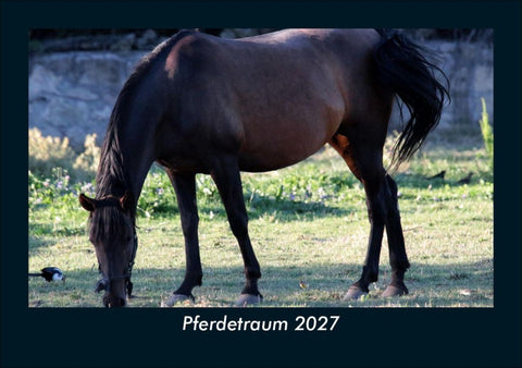 Pferdetraum 2027 Fotokalender DIN A5