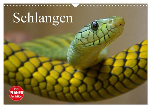 Schlangen (Wandkalender 2026 DIN A3 quer), CALVENDO Monatskalender