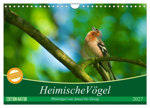 Heimische Vögel (Wandkalender 2027 DIN A4 quer), CALVENDO Monatskalender