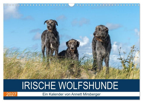 Irische Wolfshunde (Wandkalender 2027 DIN A3 quer), CALVENDO Monatskalender
