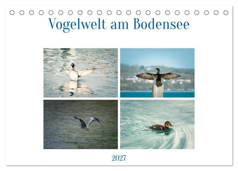 Vogelwelt am Bodensee 2027 (Tischkalender 2027 DIN A5 quer), CALVENDO Monatskalender