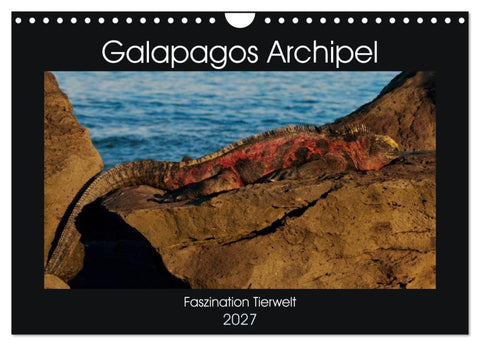 Galapagos Archipel- Faszination Tierwelt (Wandkalender 2027 DIN A4 quer), CALVENDO Monatskalender