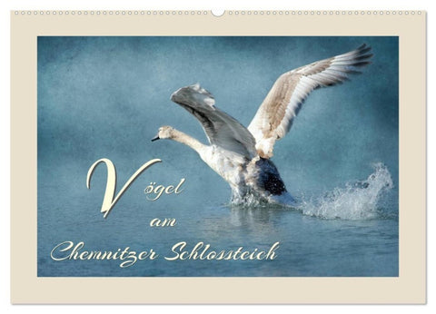 Vögel am Chemnitzer Schlossteich (Wandkalender 2027 DIN A2 quer), CALVENDO Monatskalender