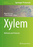 Xylem
