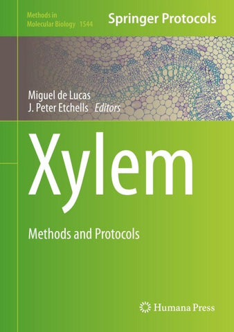 Xylem