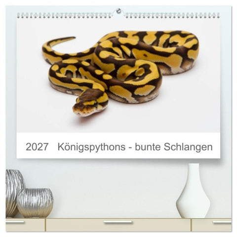 Königspythons - bunte Schlangen (hochwertiger Premium Wandkalender 2027 DIN A2 quer), Kunstdruck in Hochglanz