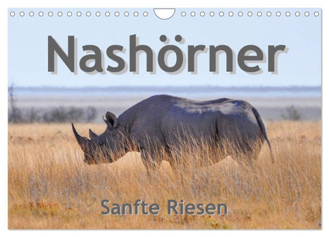 Nashörner - Sanfte Riesen (Wandkalender 2027 DIN A4 quer), CALVENDO Monatskalender