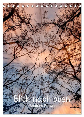 Blick nach oben (Tischkalender 2026 DIN A5 hoch), CALVENDO Monatskalender