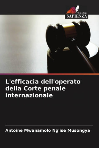 L'efficacia dell'operato della Corte penale internazionale
