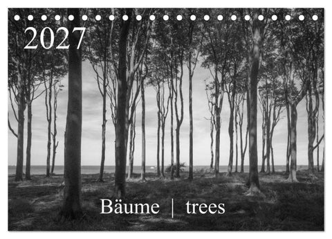Bäume trees 2027 (Tischkalender 2027 DIN A5 quer), CALVENDO Monatskalender