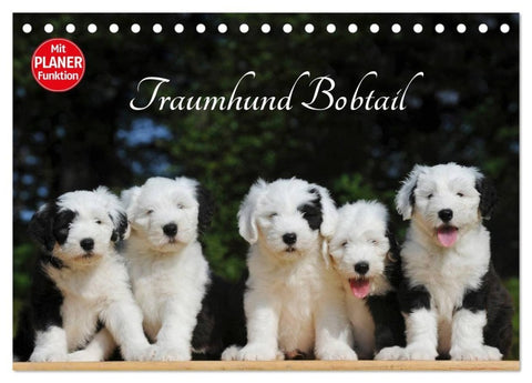 Traumhund Bobtail (Tischkalender 2027 DIN A5 quer), CALVENDO Monatskalender