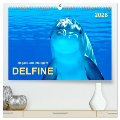 Delfine - elegant und intelligent (hochwertiger Premium Wandkalender 2026 DIN A2 quer), Kunstdruck in Hochglanz