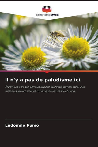 Il n'y a pas de paludisme ici