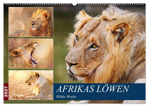 Afrikas Löwen 2027 (Wandkalender 2027 DIN A2 quer), CALVENDO Monatskalender