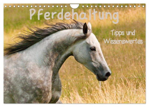 Pferdehaltung Tipps und Wissenswertes (Wandkalender 2027 DIN A4 quer), CALVENDO Monatskalender