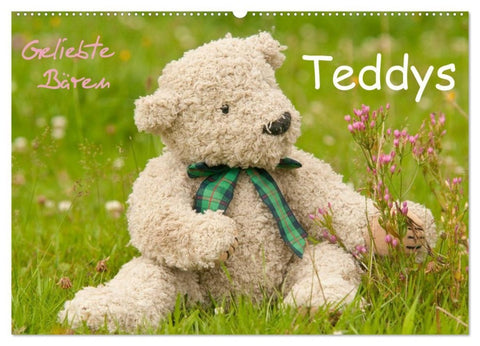 Geliebte Bären - Teddys (Wandkalender 2027 DIN A2 quer), CALVENDO Monatskalender