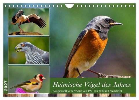 Heimische Vögel des Jahres (Wandkalender 2027 DIN A4 quer), CALVENDO Monatskalender