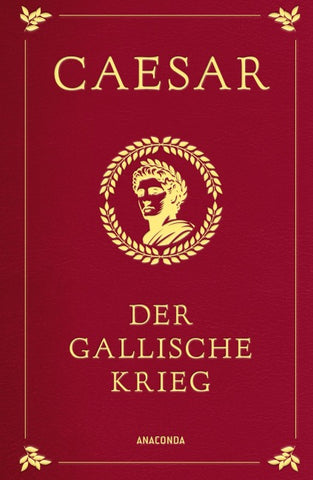 Der gallische Krieg