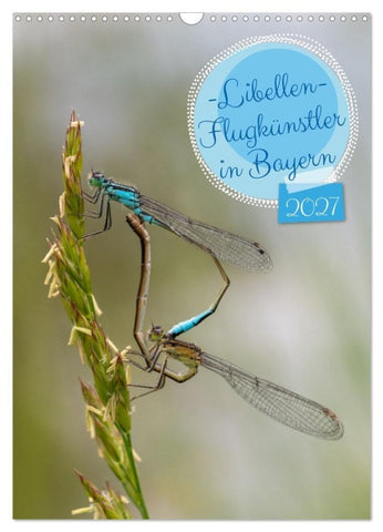Libellen - Flugkünstler in Bayern (Wandkalender 2027 DIN A3 hoch), CALVENDO Monatskalender