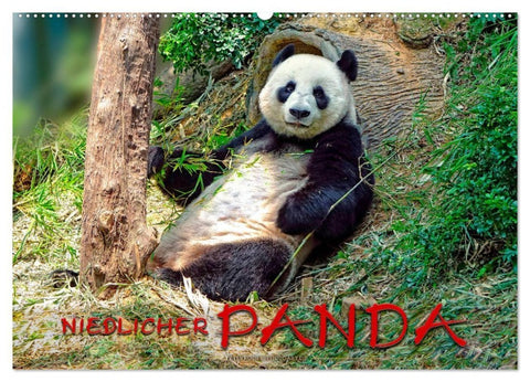 Niedlicher Panda (Wandkalender 2027 DIN A2 quer), CALVENDO Monatskalender