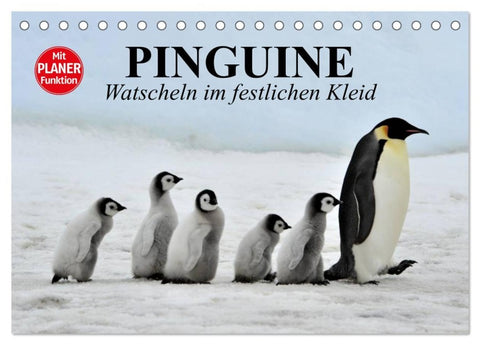 Pinguine - Watscheln im festlichen Kleid (Tischkalender 2026 DIN A5 quer), CALVENDO Monatskalender