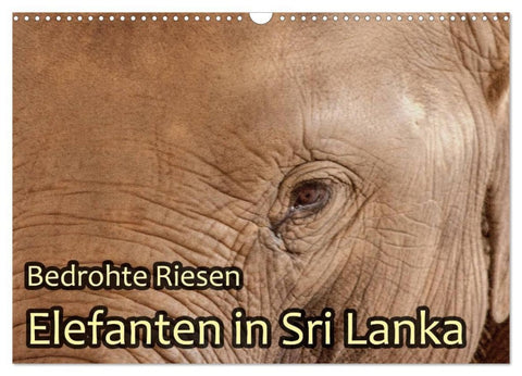 Bedrohte Riesen - Elefanten in Sri Lanka (Wandkalender 2026 DIN A3 quer), CALVENDO Monatskalender