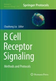 B Cell Receptor Signaling