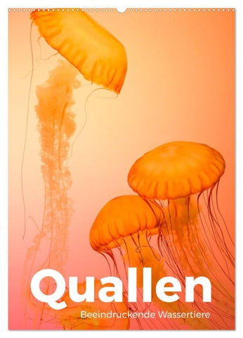 Quallen - Beeindruckende Wassertiere (Wandkalender 2027 DIN A2 hoch), CALVENDO Monatskalender