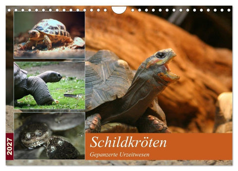 Schildkröten - Gepanzerte Urzeitwesen (Wandkalender 2027 DIN A4 quer), CALVENDO Monatskalender