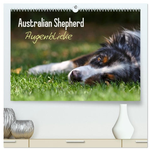 Australian Shepherd - Augenblicke (hochwertiger Premium Wandkalender 2027 DIN A2 quer), Kunstdruck in Hochglanz