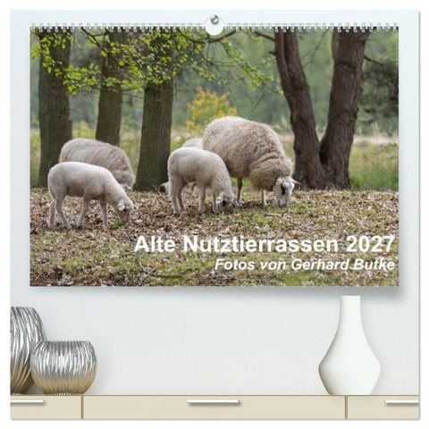 Alte Nutztierrassen 2027 (hochwertiger Premium Wandkalender 2027 DIN A2 quer), Kunstdruck in Hochglanz