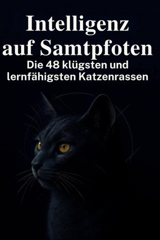 Intelligenz auf Samtpfoten