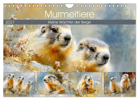 Murmeltiere. Kleine Wächter der Berge (Wandkalender 2027 DIN A4 quer), CALVENDO Monatskalender