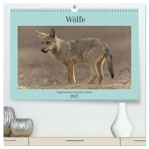 Wölfe, Impressionen aus der Lausitz (hochwertiger Premium Wandkalender 2027 DIN A2 quer), Kunstdruck in Hochglanz