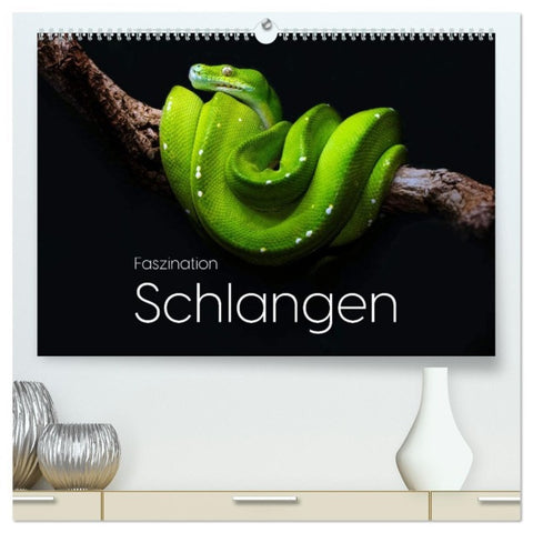 Faszination Schlangen (hochwertiger Premium Wandkalender 2026 DIN A2 quer), Kunstdruck in Hochglanz
