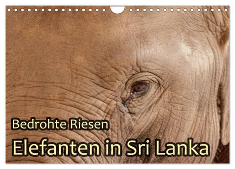 Bedrohte Riesen - Elefanten in Sri Lanka (Wandkalender 2027 DIN A4 quer), CALVENDO Monatskalender