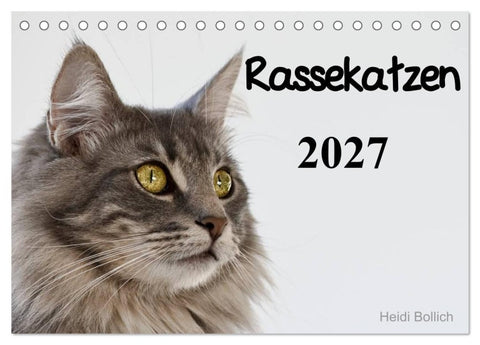 Rassekatzen 2027 (Tischkalender 2027 DIN A5 quer), CALVENDO Monatskalender