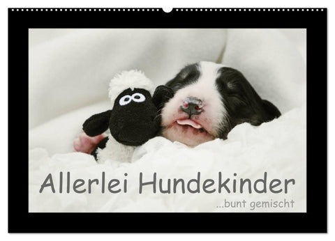 Allerlei Hundekinder (Wandkalender 2027 DIN A2 quer), CALVENDO Monatskalender