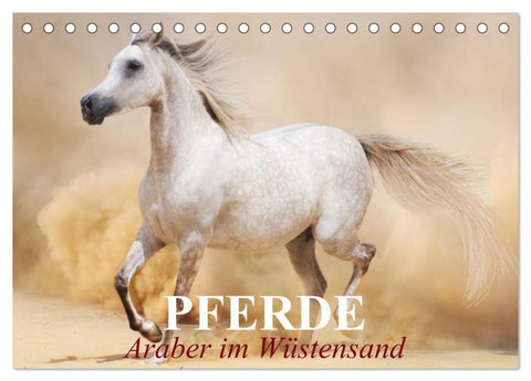 Pferde ¿ Araber im Wüstensand (Tischkalender 2026 DIN A5 quer), CALVENDO Monatskalender