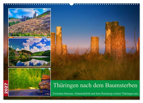 Thüringen nach dem Baumsterben (Wandkalender 2027 DIN A2 quer), CALVENDO Monatskalender