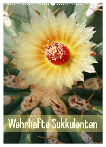 Wehrhafte Sukkulenten (Wandkalender 2027 DIN A2 hoch), CALVENDO Monatskalender