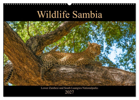 Wildlife Sambia (Wandkalender 2027 DIN A2 quer), CALVENDO Monatskalender